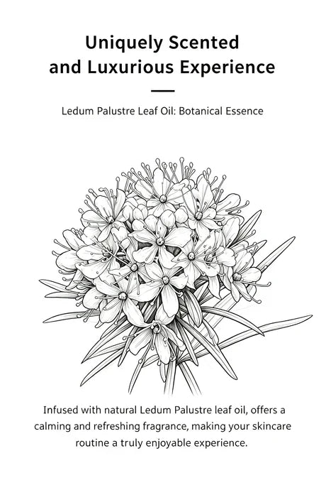 WESTELiTE Eye Serum Oil with Ledum Palustre and Camellia Seed Oil, 0.5 Fl Oz