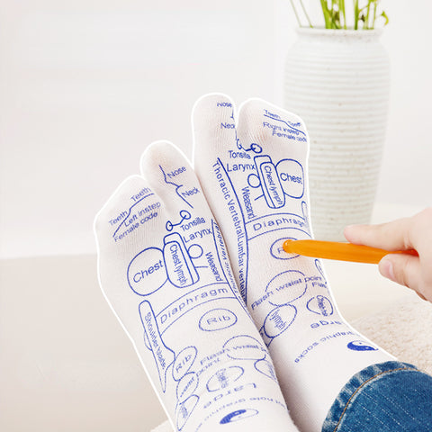 Chaussettes de massage des pieds pour points d'acupuncture, thérapie des pieds, soins de santé, chaussettes à cent points d'acupuncture, massage des pieds, point méridien, illustration de points, chaussettes m3331174 