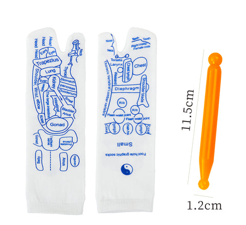 Chaussettes de massage des pieds pour points d'acupuncture, thérapie des pieds, soins de santé, chaussettes à cent points d'acupuncture, massage des pieds, point méridien, illustration de points, chaussettes m3331174 