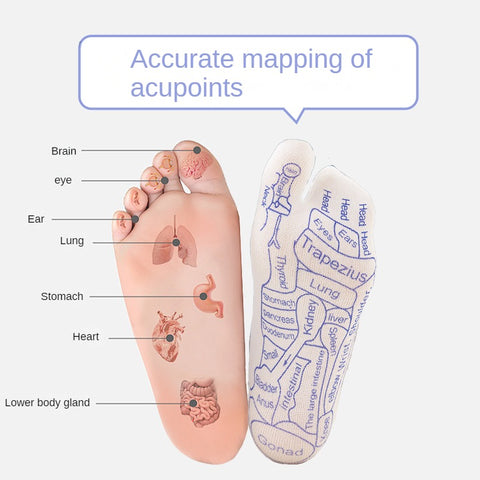 Chaussettes de massage des pieds pour points d'acupuncture, thérapie des pieds, soins de santé, chaussettes à cent points d'acupuncture, massage des pieds, point méridien, illustration de points, chaussettes m3331174 